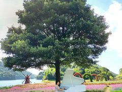 -广州市石门国家森林公园
