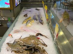 -渔娘渔家丹东海鲜(东直门店)