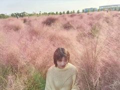 -映月湖中央公园