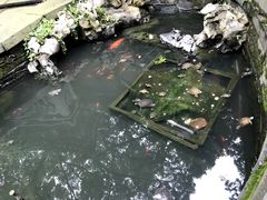 -普陀山风景名胜区-法雨禅寺