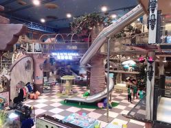 -卡通尼·Safari非洲探索乐园·生日会(金桥国际商业广场店)