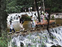 -牛背梁国家森林公园