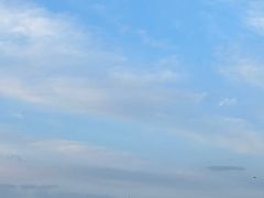 -金塔沙漠胡杨林景区