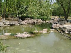 -太阳宫公园