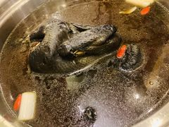 -太婆天府山珍酒楼(亚运村店)