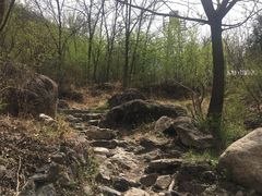 -云岫谷自然风景区