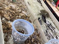 -罗源湾8号渔排
