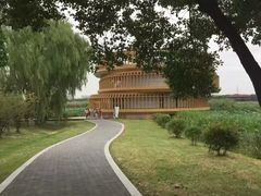 -荷塘月色湿地公园·向阳花洲