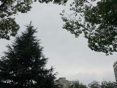 -上海大学(嘉定校区)