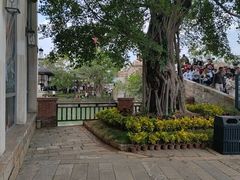 -赤坎·广东华侨国际旅游度假区