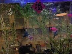 -意卡菲·欢乐聚会餐厅(华侨店)