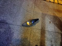 -喝丢一只鞋海鲜烧烤·海肠捞饭(市场店)