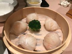 -陶陶居海鲜酒家(新马路店)
