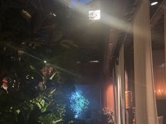 -都氏家DUSJOY(翡翠城店)