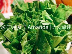 油麦菜-曲氏老北京铜锅涮肉•火锅(不老街店)