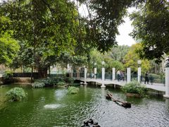 -九龙公园