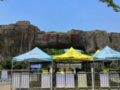 -合肥野生动物园