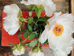 -The Flowers Coffee(南山店)