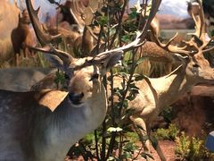 -陕西自然博物馆