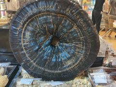 -百佳永辉超市(来福士广场店)