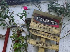 -苏妃奶酪(平江路店)
