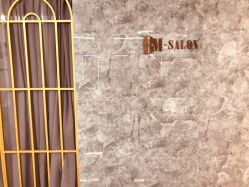 点击看大图 -BM SALON