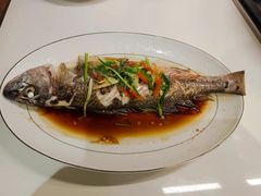 -大班家政月嫂育儿嫂(深圳NO.1店)
