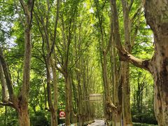 -WeLope紫金山探险公园