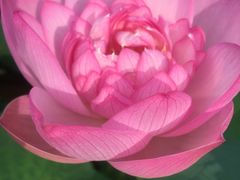 -龙环葡韵住宅式博物馆