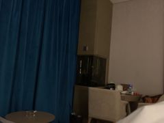 -圣爵菲斯大酒店(长沙世界之窗店)