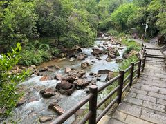 -广州白江湖森林公园