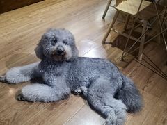 -沏点Trattoria意大利餐厅(新街口店)
