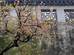 -拙政园