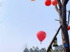 -黄龙溪欢乐田园