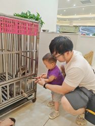 -Moni星球萌宠·小马宝莉·灵蛇·高端高阶全萌宠互动体验俱乐部(红豆国际广场店)