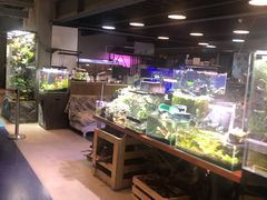 -SFC上影影城(成都科华IMAX店)