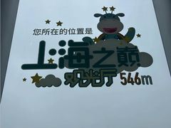 -上海中心大厦
