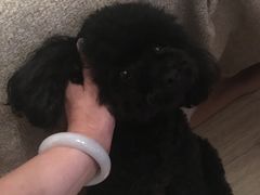 -鹿港小镇(金虹桥国际中心店)