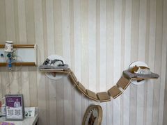 -宠爱国际动物医院·疑难骨科·心肾内科·皮肤科(太阳宫店)