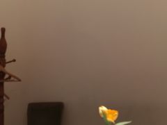 -悦融琥珀·京鲁菜·海味珍品(西单店)