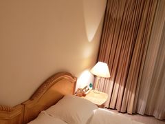 -南京维景国际大酒店(南京博物院店)