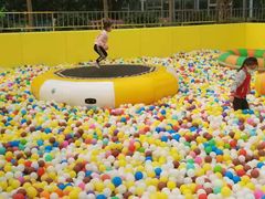 -南宫五洲植物乐园