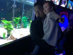 -烟台海昌鲸鲨海洋公园