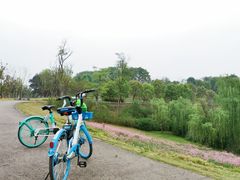 -白鹭湾湿地公园