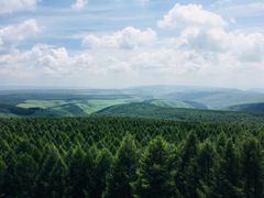 -塞罕坝国家级自然保护区