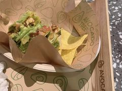 -油梨树AVOCADO TREE(嘉里中心店)