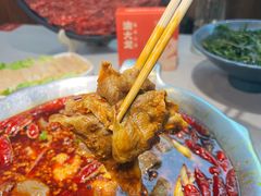 -渝大龙重庆火锅(温泉月亮湾店)
