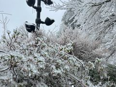 -庐山风景区花径公园