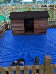 -萌宠亲子动物乐园(槐房万达店)