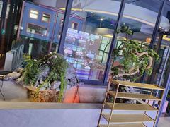 -星河湾温泉洗浴酒店